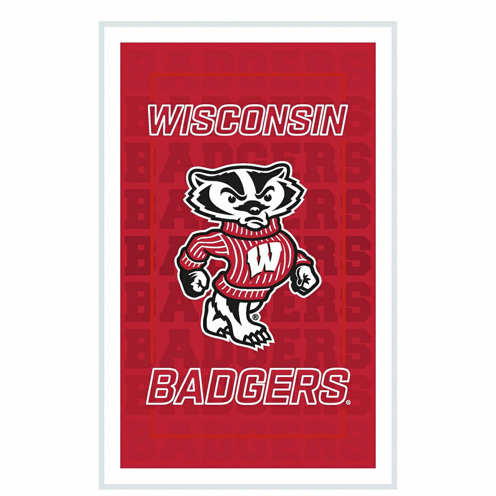 University of Wisconsin-Madison College Rectangle Neolite LED Decor