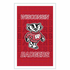 University of Wisconsin-Madison College Rectangle Neolite LED Decor