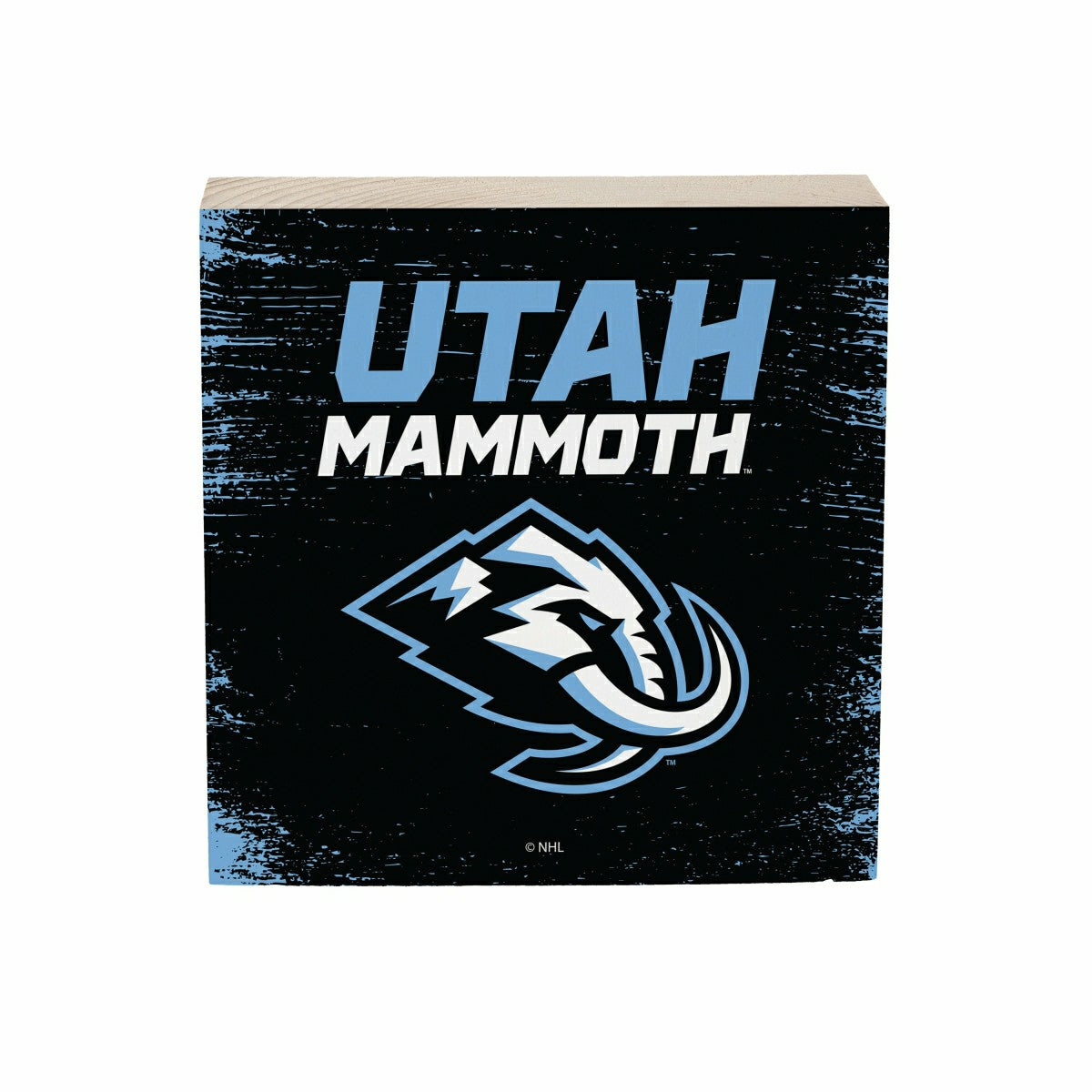 Utah Hockey Club Plock, Down Home Fans, 6x6
