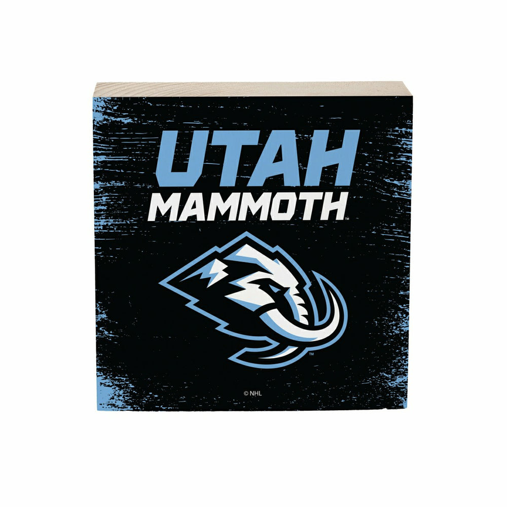 Utah Hockey Club Plock, Down Home Fans, 6x6