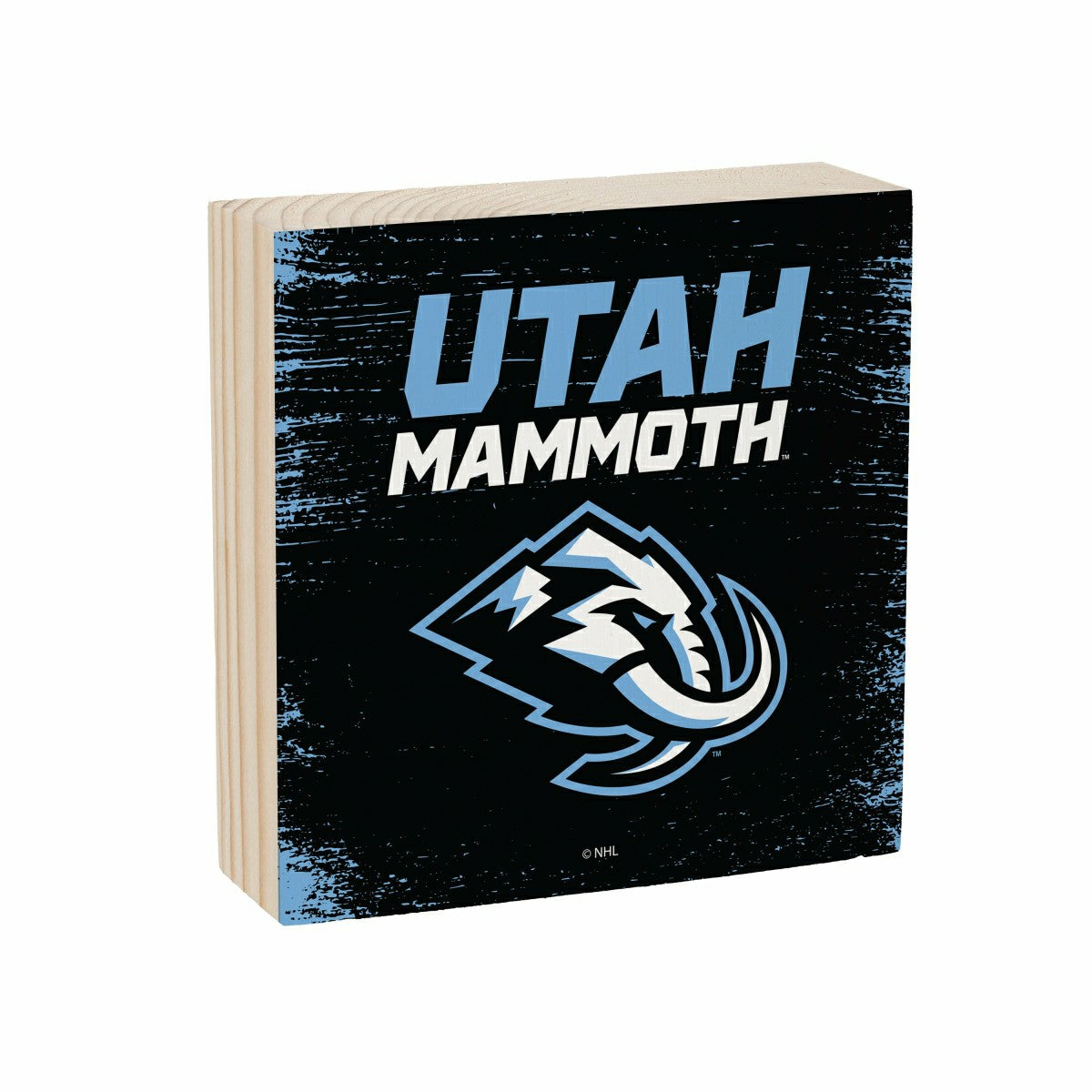 Utah Hockey Club Plock, Down Home Fans, 6x6