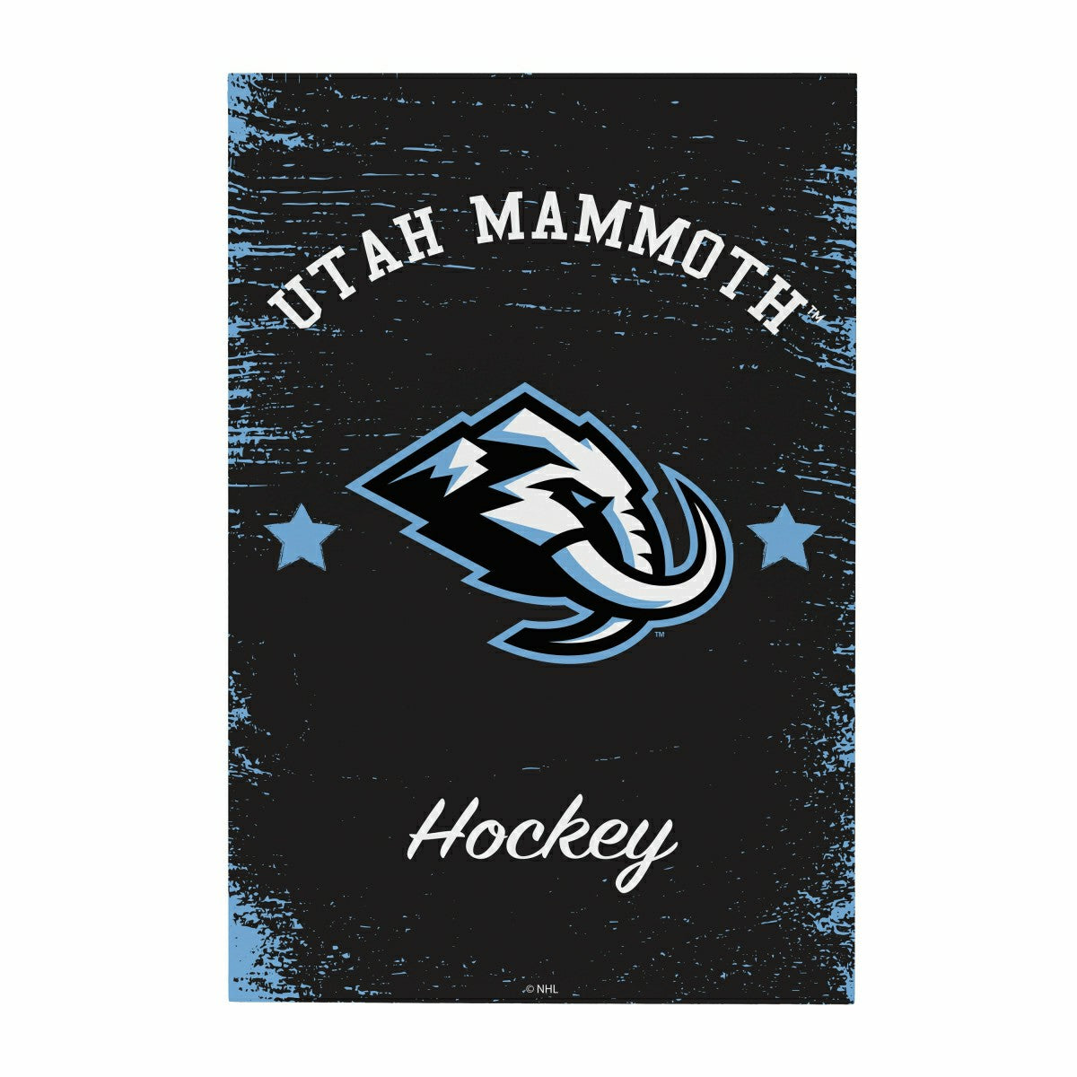 Utah Hockey Club Wood Wall Sign, 16x24